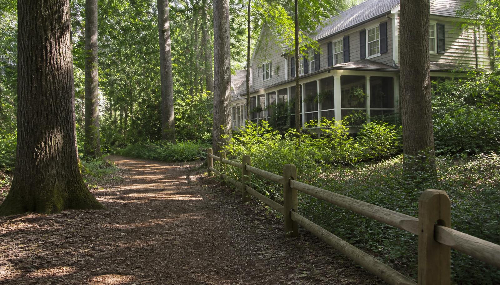 Davidson Woods