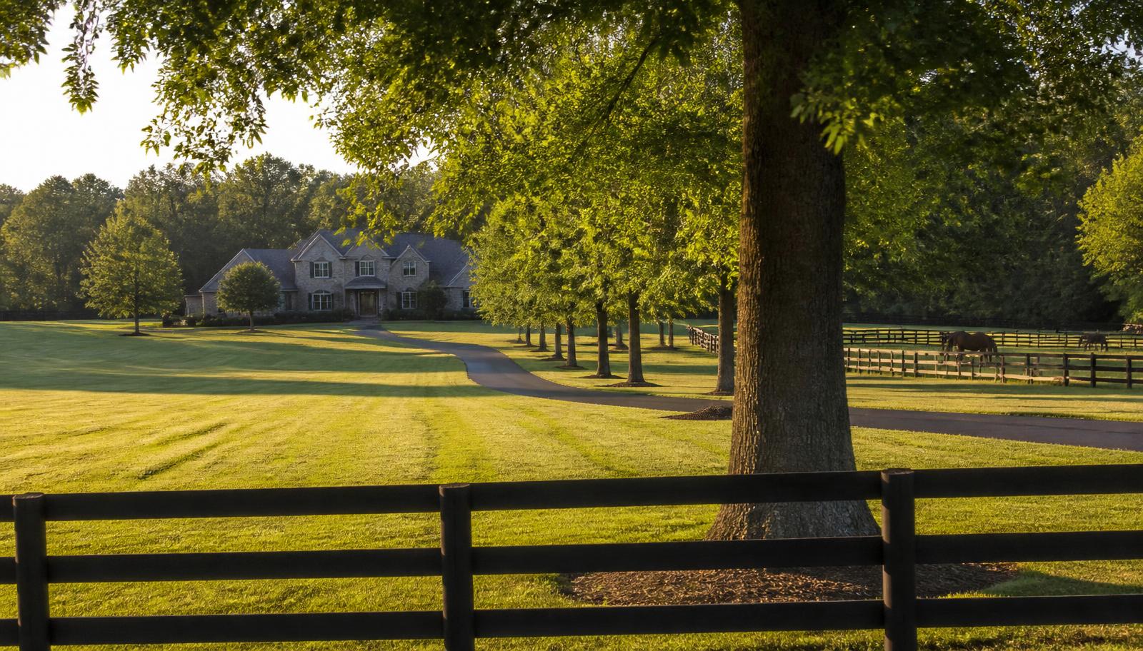 The Farms